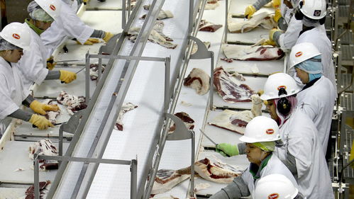 美國肉類工廠疫情危機(jī) 570人集體感染新冠，疫情期間被迫開工的背后
